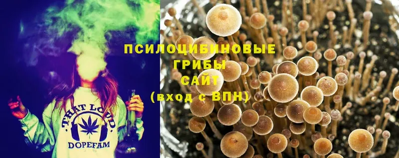 Галлюциногенные грибы Magic Shrooms  Бабушкин 